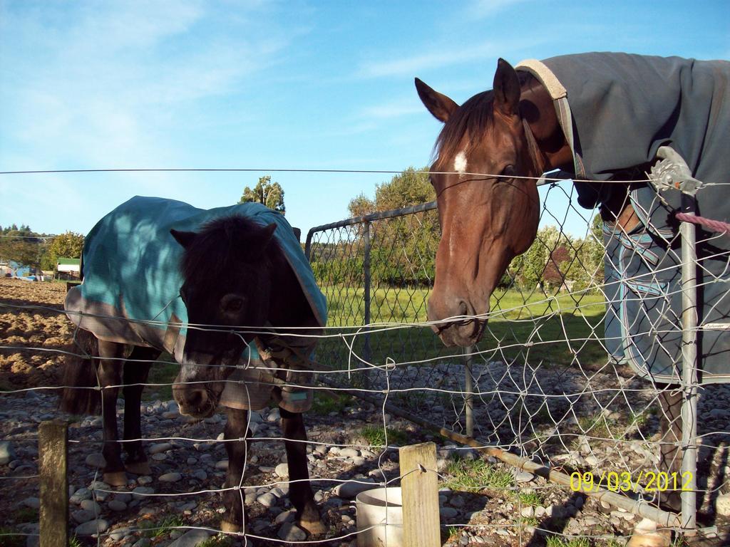 154 Kaniere Road Accommodation ホキティカ エクステリア 写真